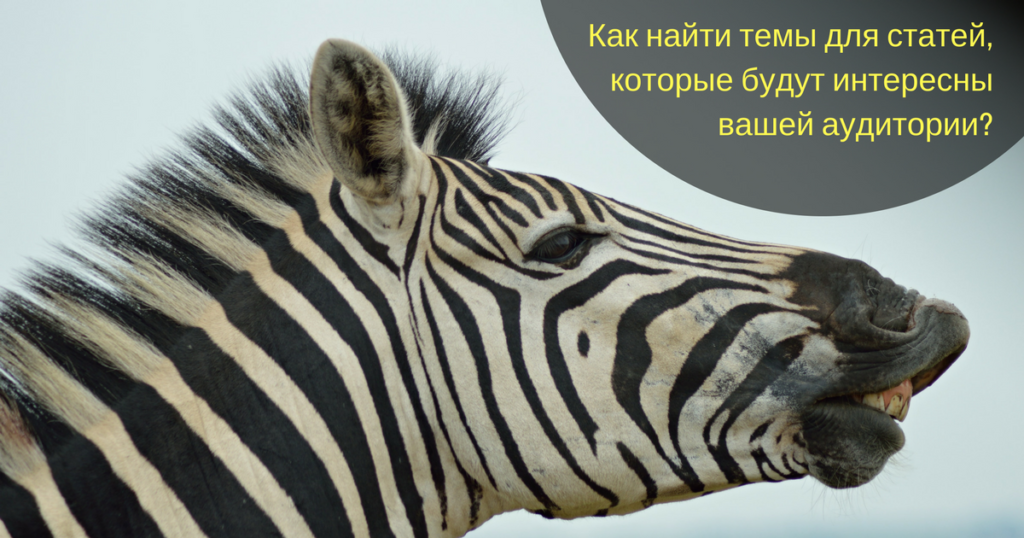 Как найти темы для статей?