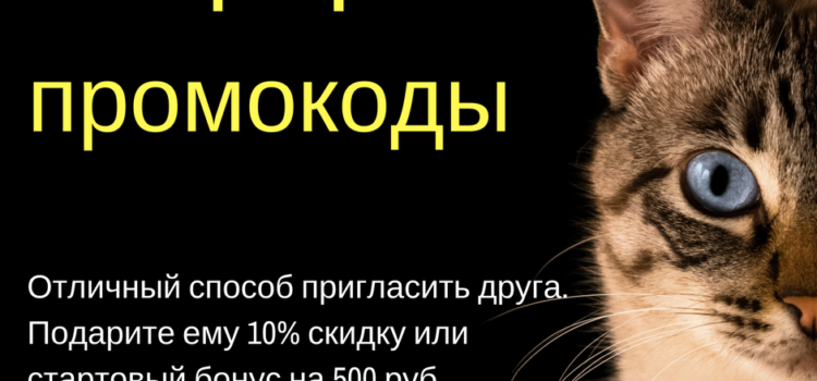 Новинка в реферальной программе! Новинка в реферальной программе!