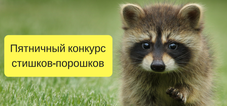Объявляем пятничный конкурс! Дарим 500 руб. за стишок-порошок! Объявляем пятничный конкурс! Дарим 500 руб. за стишок-порошок!