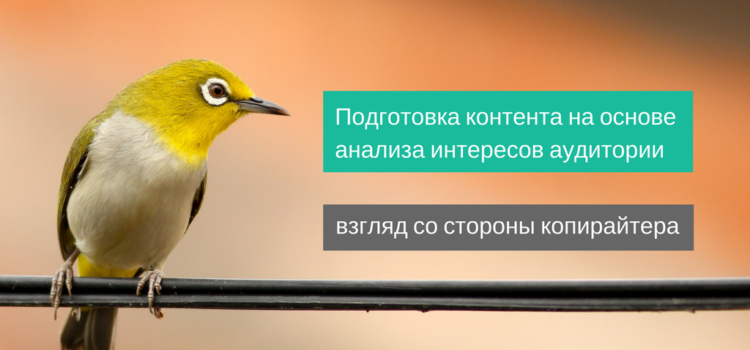 Подготовка контента на основе анализа интересов аудитории [взгляд со стороны копирайтера]