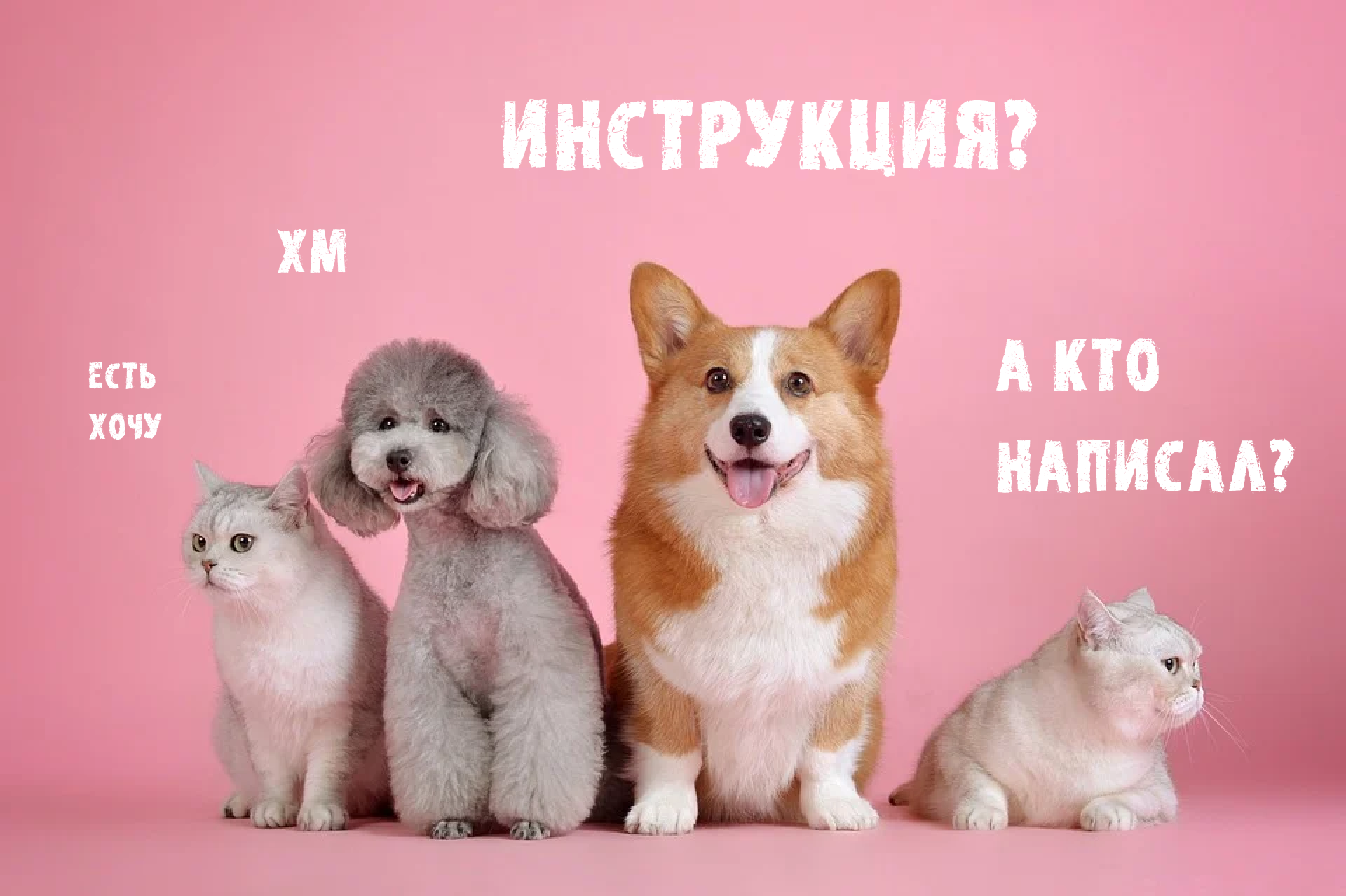 Становитесь самозанятым! 10 причин сделать налоговой предложение