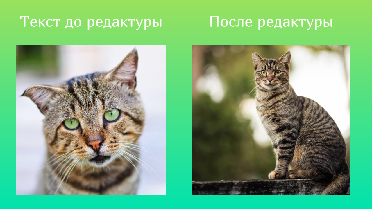 Сам себе редактор: как сдавать идеальные тексты, не требующие правок Сам себе редактор: как сдавать идеальные тексты, не требующие правок